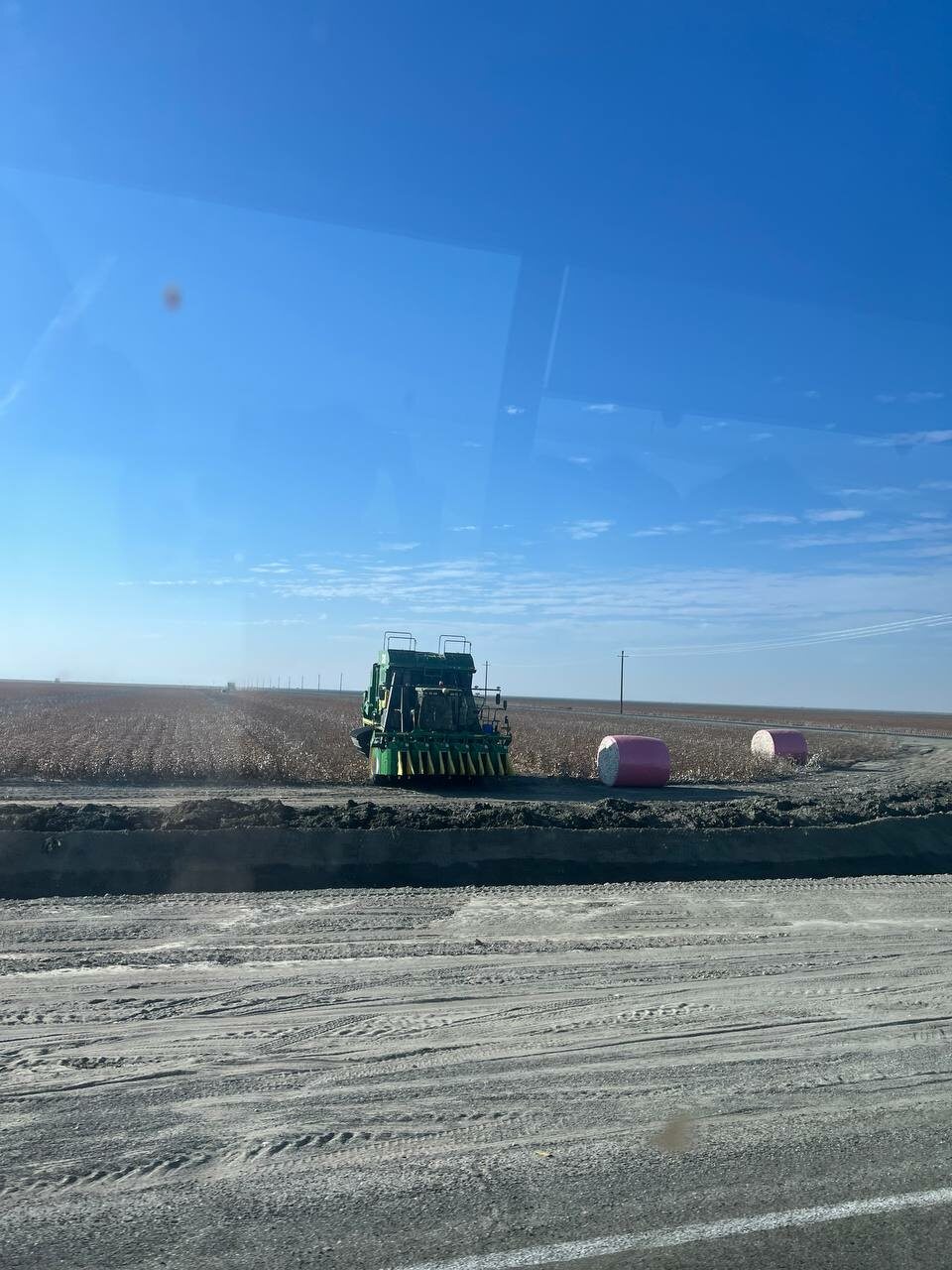 A Supima cotton farm in California