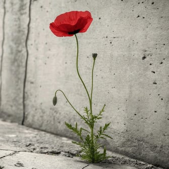 Danish trade platform CIFF boosts summer offering with Diesel