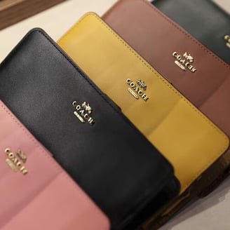 Coach parent Tapestry invests in Gen Phoenix to scale sustainable leather