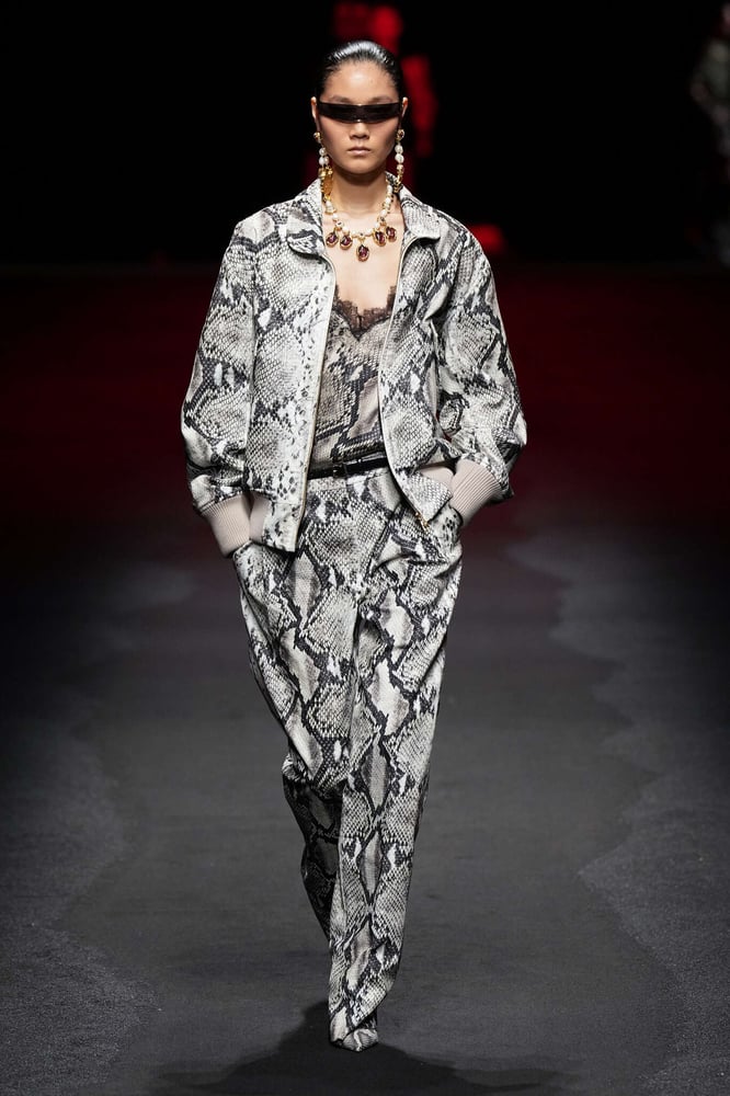 Roberto Cavalli - Fall-Winter2025 - 2026 - Womenswear - Italie - Milan
